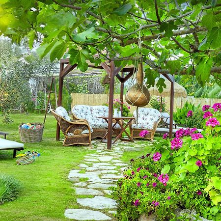 Pretty Spiti Holiday Retreat Laganas Luaran gambar